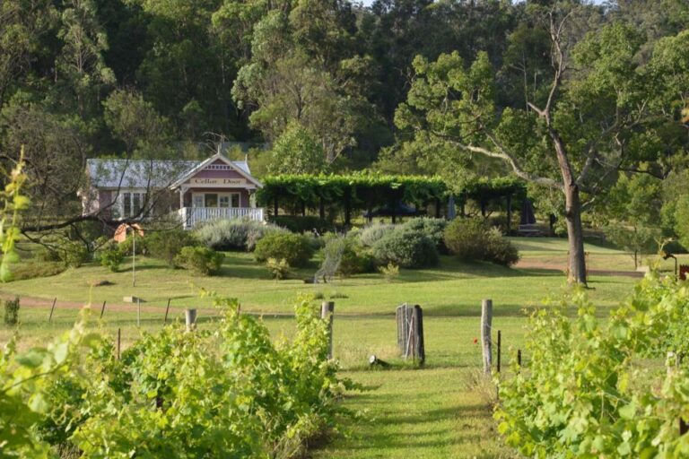 Chef-Led Hunter Valley Food & Wine Tour From Sydney