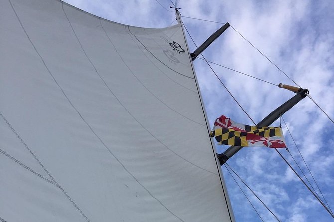 Chesapeake Bay Small-Group Yacht Sailing Tour  – Washington DC