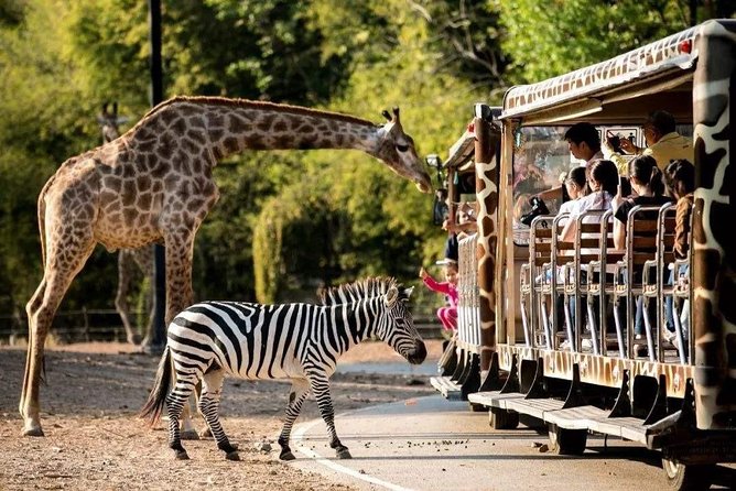 Chiang Mai Night Safari Tour