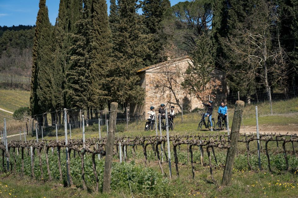 Chianti Classico: E-Bike Tour With Lunch and Tastings