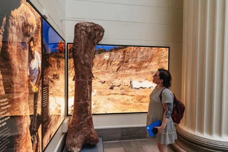 Chicago: Field Museum of Natural History Ticket or VIP Tour