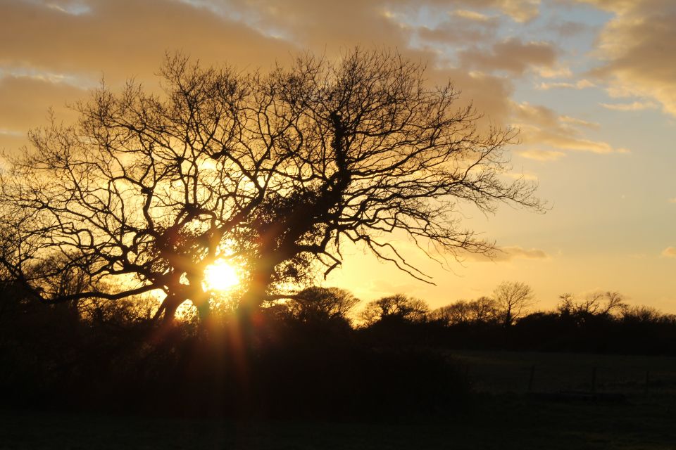 1 chichester and west sussex photography and tourist tours Chichester and West Sussex Photography and Tourist Tours