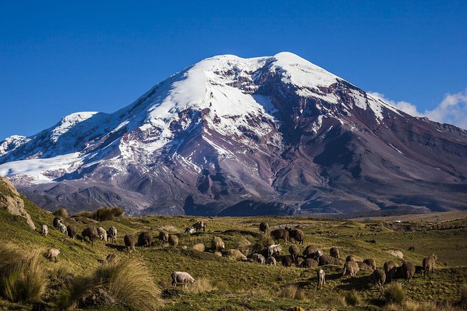 Chimborazo Tour From Quito: Hiking and Ascent to Condor Cocha All Included