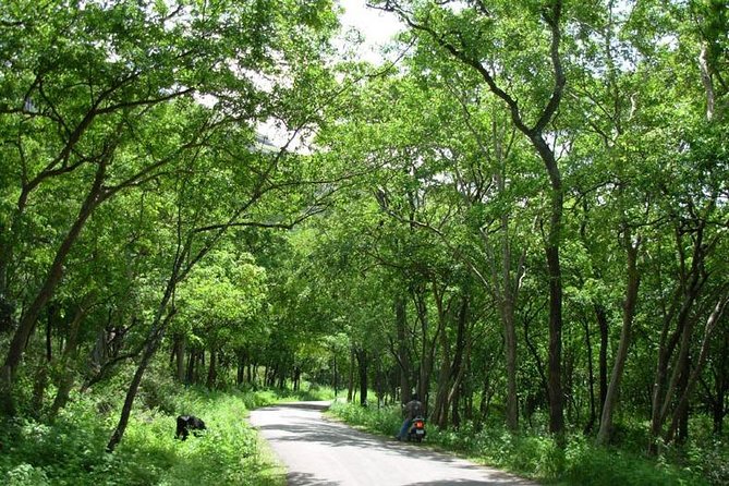 Chinnar Wild-life Visiting Tour (Eravikulam National Park)