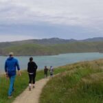 1 christchurch godley head lyttelton guided walking tour Christchurch: Godley Head & Lyttelton Guided Walking Tour