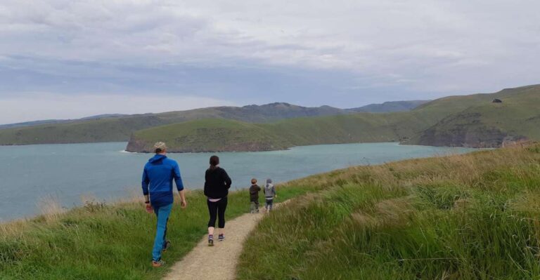 Christchurch: Godley Head & Lyttelton Guided Walking Tour