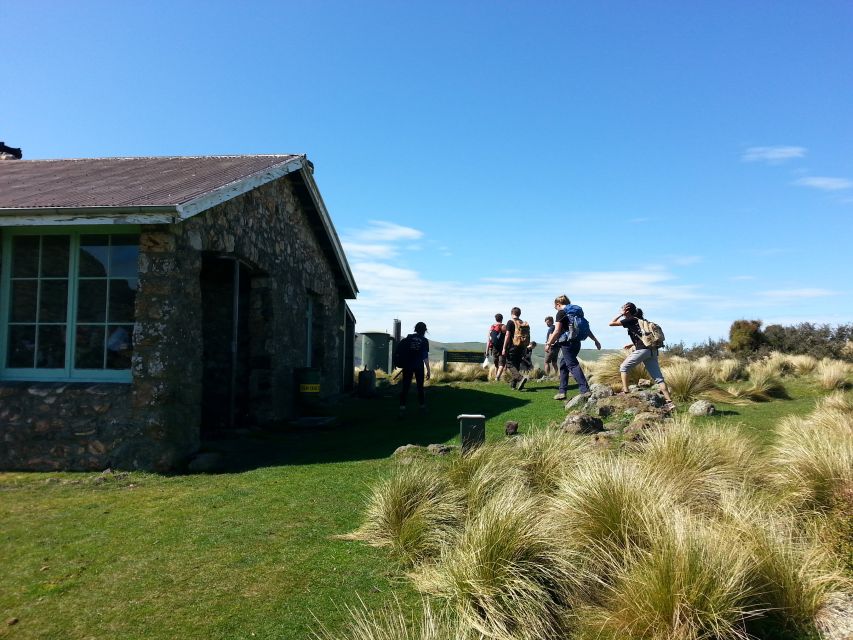 1 christchurch packhorse hut guided walk and scenic drive Christchurch: Packhorse Hut Guided Walk and Scenic Drive