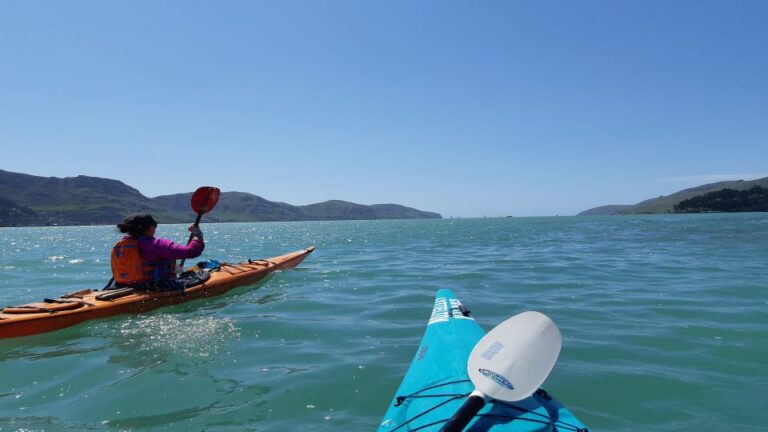 Christchurch: Sea Kayaking Tour of Lyttelton Harbour