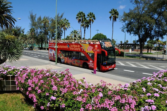 City Sightseeing Las Palmas De Gran Canaria Hop-On Hop-Off Bus Tour