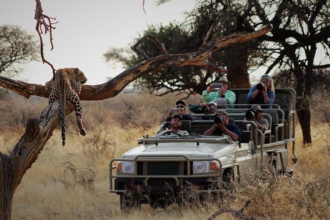 Classic Kruger National Park