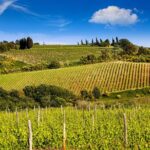 1 classic wine tour in chianti from florence Classic Wine Tour in Chianti From Florence