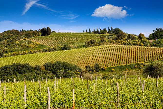 1 classic wine tour in chianti from florence Classic Wine Tour in Chianti From Florence