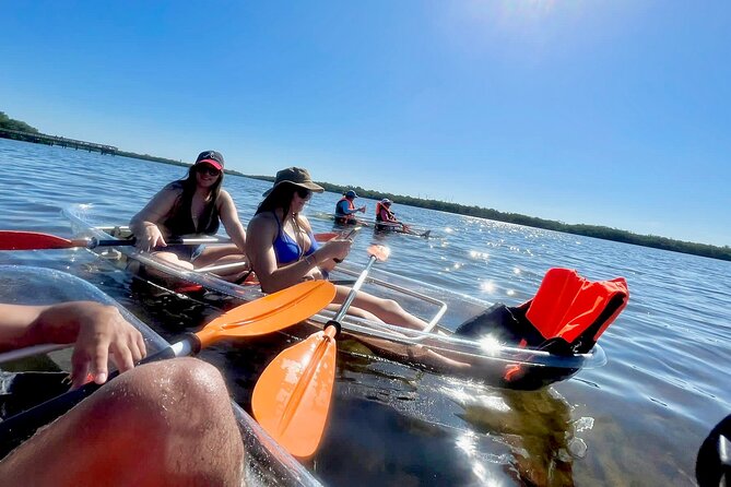 1 clear kayak private guided day and night tours in florida Clear Kayak Private Guided Day and Night Tours in Florida