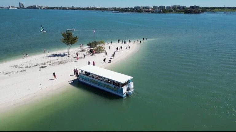 Clearwater Beach: Dolphin and Sandbar Boat Cruise