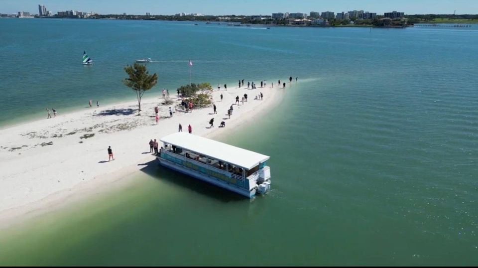 1 clearwater beach dolphin and sandbar boat cruise Clearwater Beach: Dolphin and Sandbar Boat Cruise