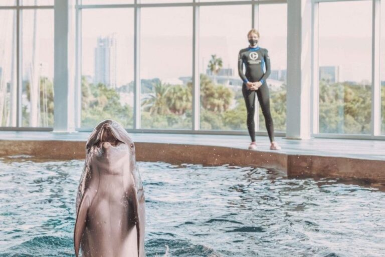 Clearwater: Eco-Certified Marine Aquarium General Admission