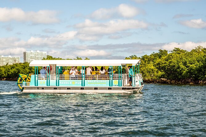 Clearwater Island Hop and Dolphin Watch With Swimming - Additional Details