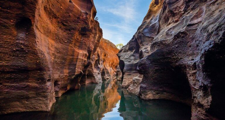 Cobbold Gorge 3 Hour Tour