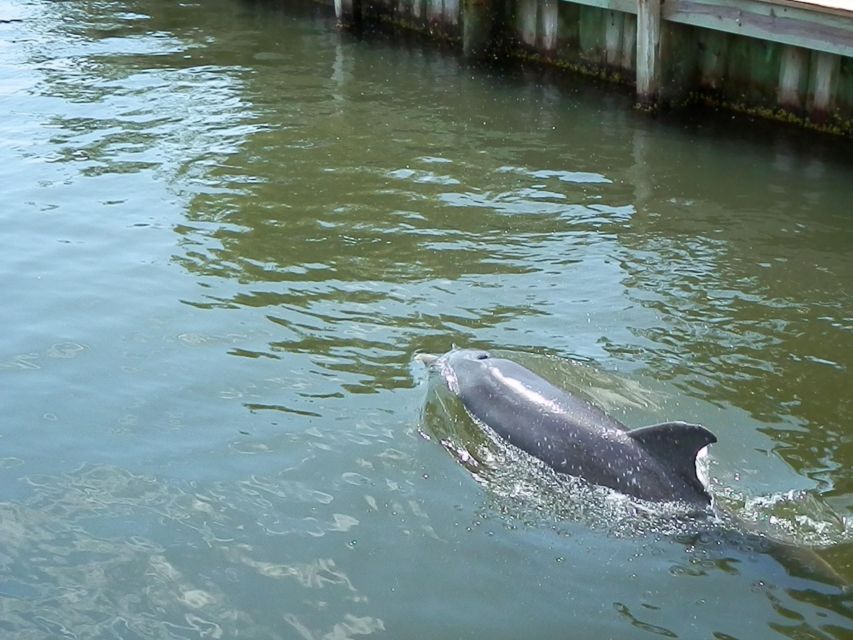 1 cocoa beach thousand islands banana river boat cruise Cocoa Beach: Thousand Islands Banana River Boat Cruise