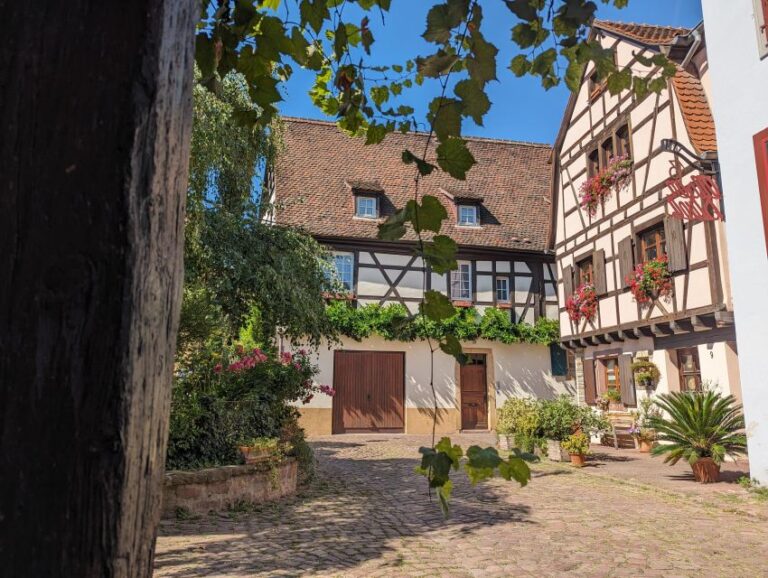 Colmar: Unusual Walking Tour With a Local Guide