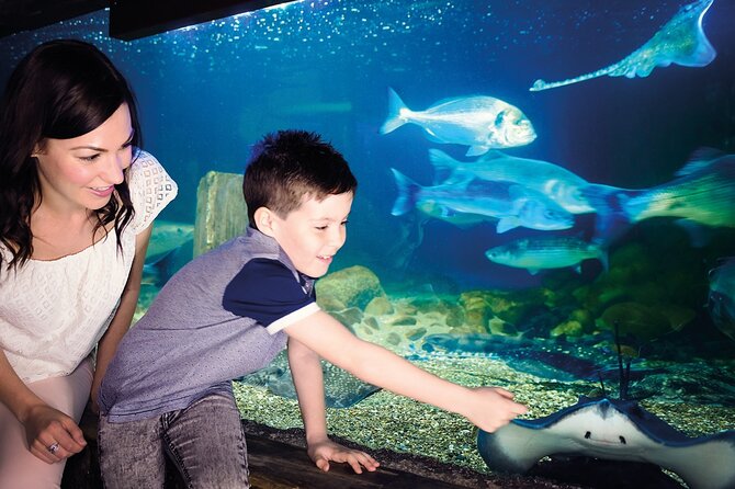 Combi Ticket LEGOLAND Discovery Centre, Madame Tussauds, SEA LIFE - Pricing Details