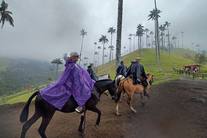 Complete Horseback Riding Valle Del Cocora