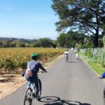 1 constantia full day private bike tour wine farms and lunch cape town Constantia Full-Day Private Bike Tour, Wine Farms, and Lunch - Cape Town