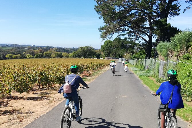 Constantia Full-Day Private Bike Tour, Wine Farms, and Lunch  – Cape Town