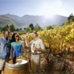 1 constantia winelands private wine tour from cape town Constantia Winelands Private Wine Tour From Cape Town
