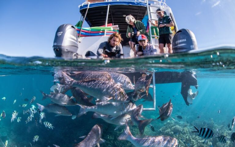 Coral Bay: 2-Hour Coral Viewing and Snorkeling