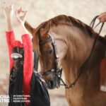 1 cordoba caballerizas reales equestrian show entry ticket Cordoba: Caballerizas Reales Equestrian Show Entry Ticket