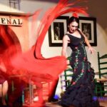 1 cordoba flamenco show ticket with drinks Córdoba: Flamenco Show Ticket With Drinks