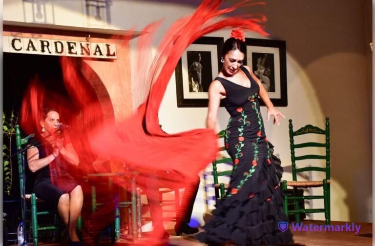 Córdoba: Flamenco Show Ticket With Drinks