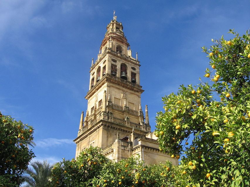 1 cordoba mosque cathedral private tour with ticket included Cordoba: Mosque-Cathedral Private Tour With Ticket Included