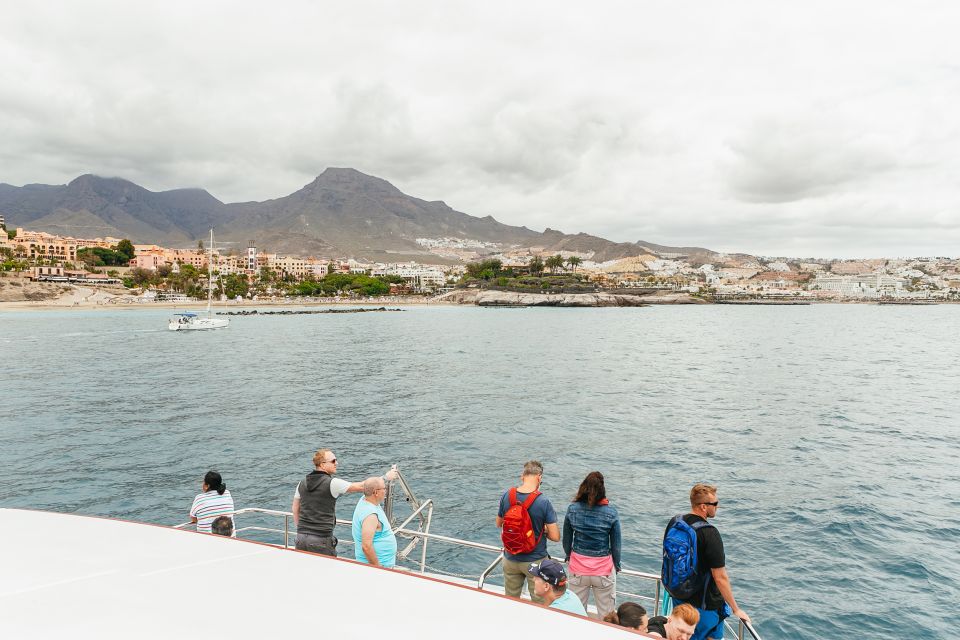 1 costa adeje whale dolphin submarine vision mini cruise Costa Adeje: Whale & Dolphin Submarine Vision Mini Cruise