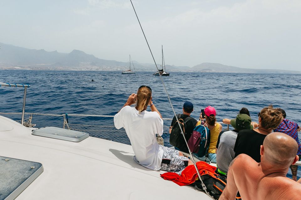 Costa Adeje: Whale Watching Catamaran Tour With Drinks - Meeting Point Information