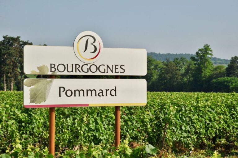 Côte De Beaune Private Local Wineries and Wine Tasting Tour