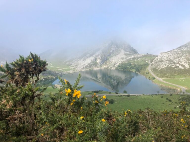 Covadonga and Lakes and Occidental Coast Private Tour