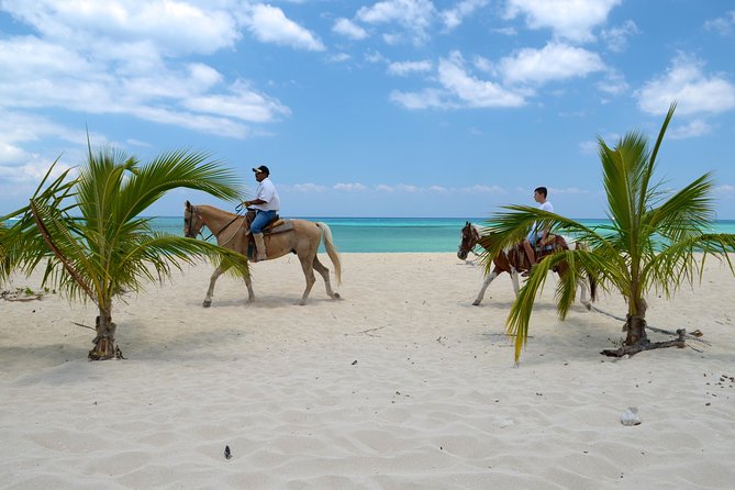 Cozumel Beach Horseback Riding Tour