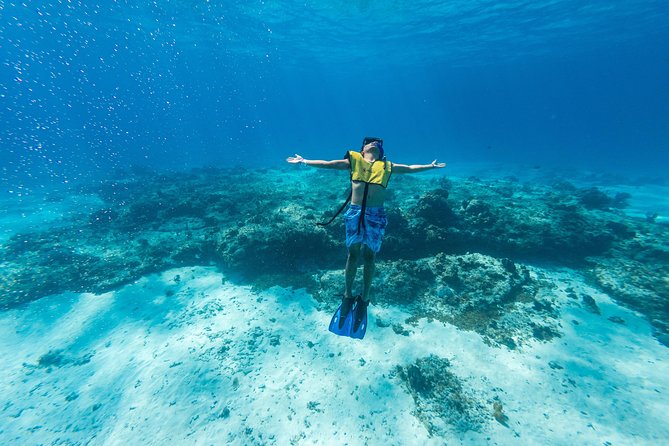 Cozumel Snorkel Tour: Coral Reefs, El Cielo & Beach Break