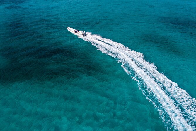 Cozumel Starfish and Tropical Reef Snorkeling by Powerboat With Lunch