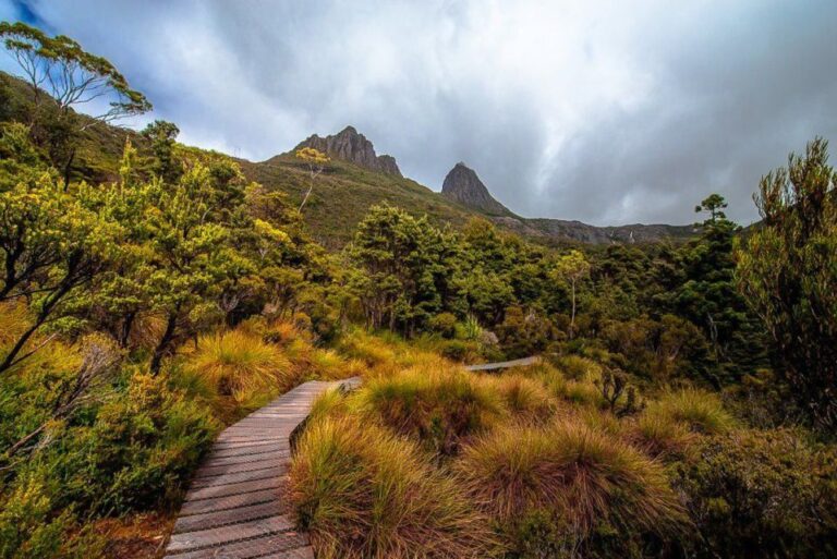 Cradle Mountain: Day Trip From Launceston With Lunch