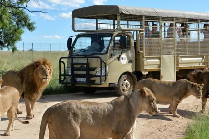 Cradle of Human Kind & Lion & Rhino Park Tour Full Day Tour Private
