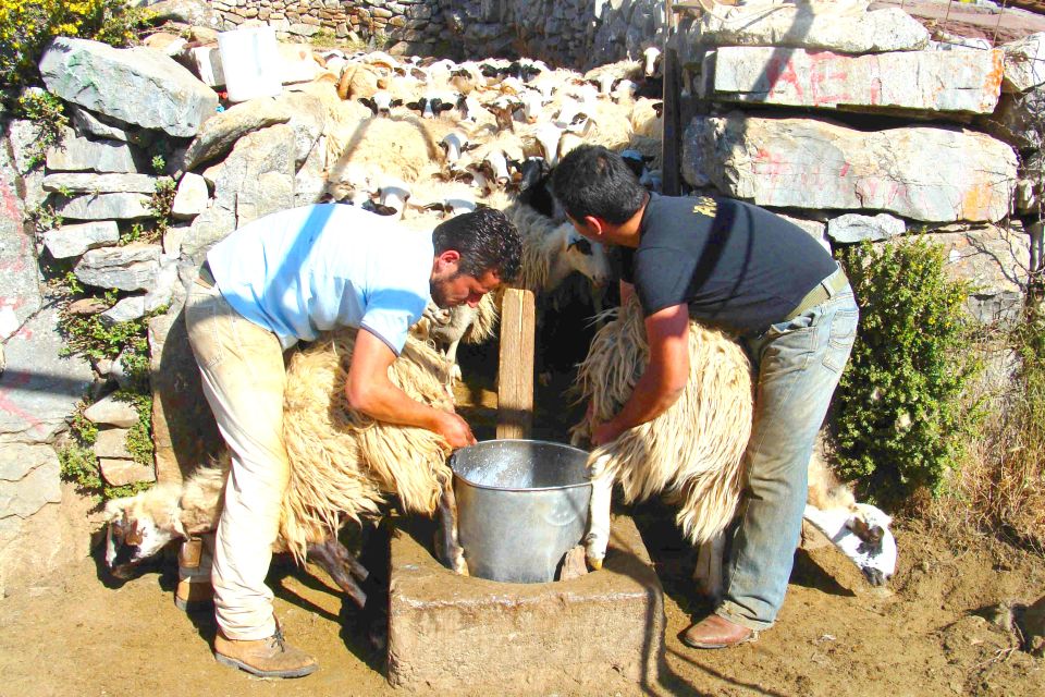 1 crete jeep safari mountains goat keeping cheese making 2 Crete: Jeep Safari, Mountains, Goat-Keeping & Cheese Making