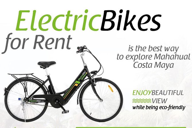 1 cruise guest electric bike CRUISE GUEST Electric Bike