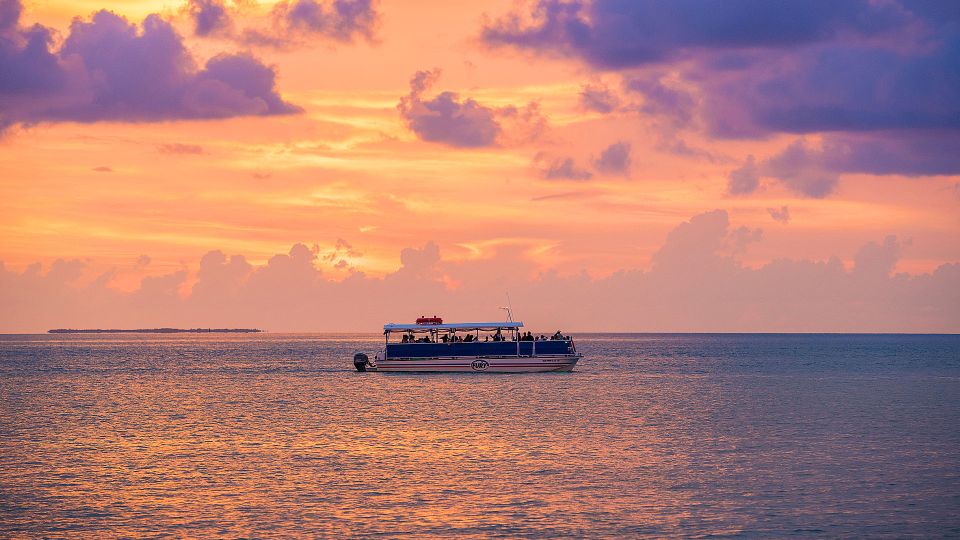 Crystal River: Kings Bay Manatee Sunset Cruise