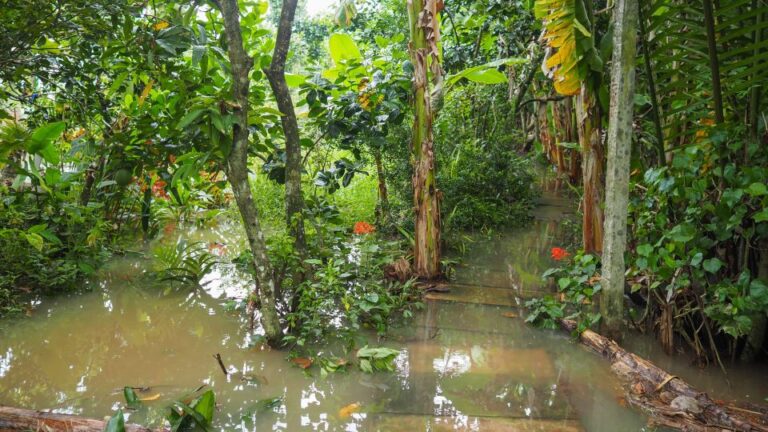 Cu Chi Tunnels & Mekong Delta Group Tour Full Day