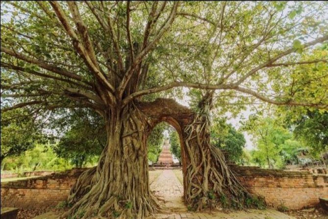 Cultural City Heritage Day Tour