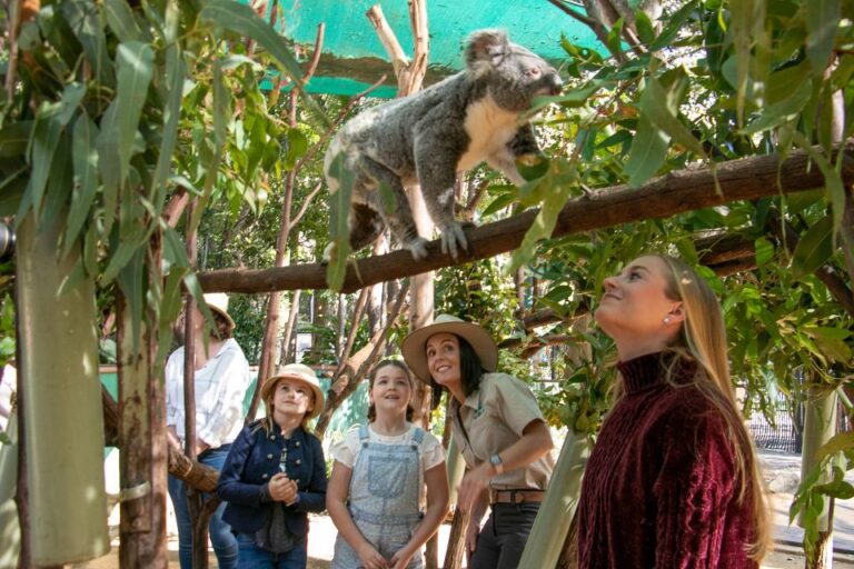 Currumbin Wildlife Sanctuary Ticket & Koala Photo