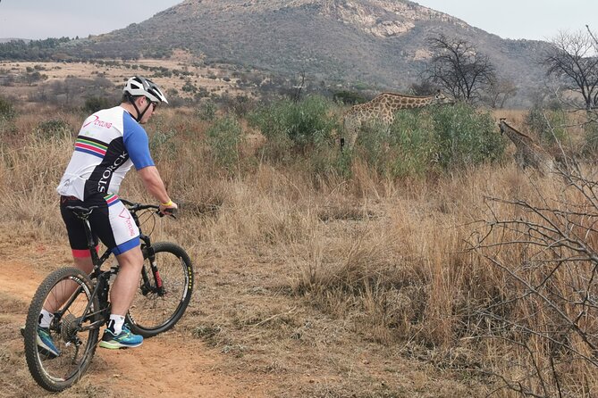 Cycling in a Forest Close to Johannesburg and Pretoria